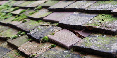 Troedyraur roof repair costs